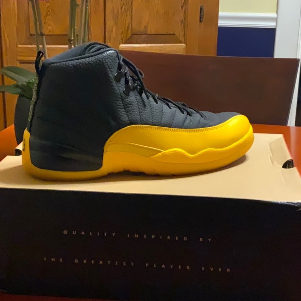 Air Jordan 12 Retro